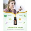 imageInnoGear Essential Oil Diffuser with Oils 100ml Aromatherapy Diffuser with 6 Essential Oils Set Aroma Cool Mist Humidifier Gift Set Dark Wood GrainYellow Wood Grain