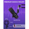 imageInnoGear Microphone Stand Mic Boom Arm for Blue Yeti HyperX QuadCast S SoloCast Snowball Fifine K669B and other Mic with Shock Mount Windscreen Pop Filter Mic Clip Holder Cable Ties MediumLarge