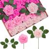 Shades of Pink