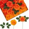 Shades of Orange