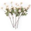 imageInnoGear Silk Flowers Pompon Mums Artificial Flowers 10pcs 50 Heads Fake Mini Chrysanthemums with Long Stems Bulk Faux Kiku Flower for Decoration Memorial DIY Wedding Bouquets Centerpieces BeigeBeige